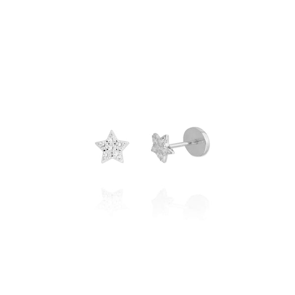 Taurus Silver Earrings